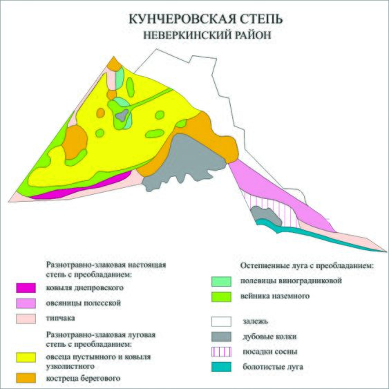 Кунчеровская лесостепь карта.jpg