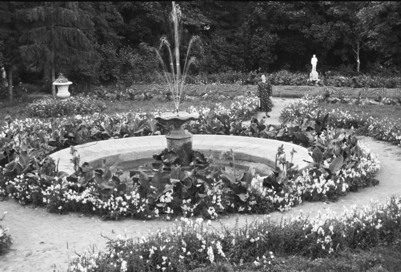 Файл:Ботанический сад 1954 пр 1.jpg